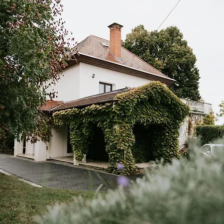 Aquilo Apartmanok Tihany Exterior photo